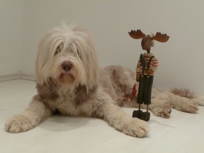 Oskar und Elch